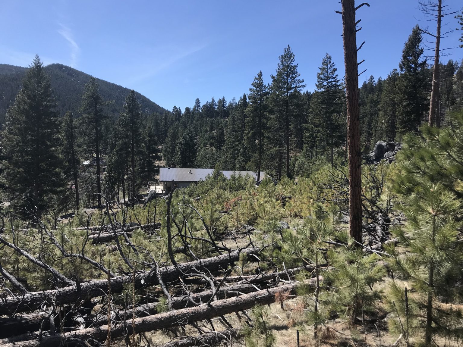 TriCounty FireSafe Working Group Hazardous Fuels Mitigation