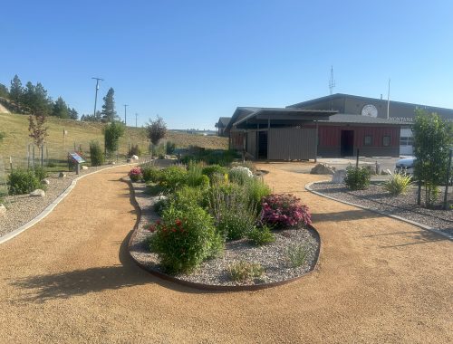 garden looking north end