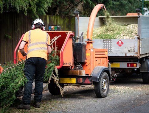 Male,Arborist,Using,A,Working,Wood,Chipper,Machine.the,Tree,Surgeon